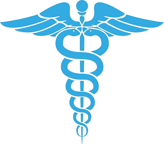 Dr.Vijayalakshmi.K P